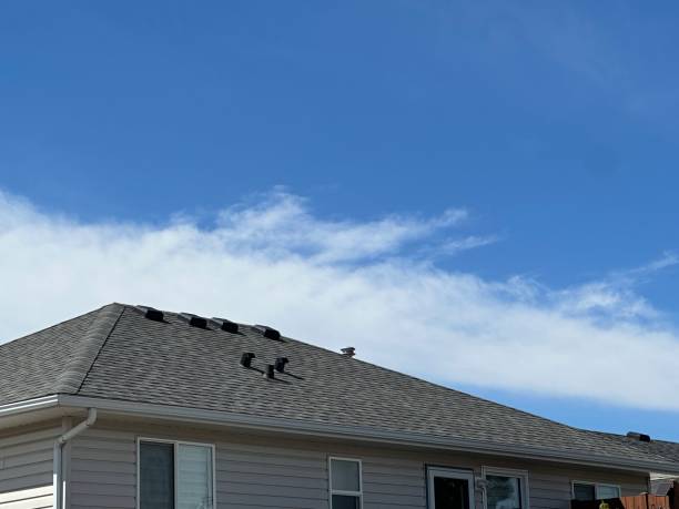Best Skylight Installation and Repair  in Washington Court House, OH